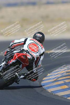 media/May-13-2023-SoCal Trackdays (Sat) [[8a473a8fd1]]/Turn 11 Backside (945am)/